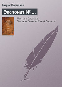 Васильев Борис - Экспонат № ... скачать бесплатно