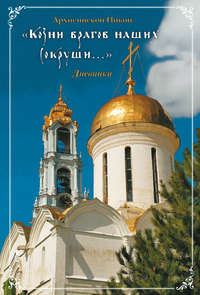  Архиепископ Никон (Рождественский) - «Козни врагов наших сокруши...»: Дневники скачать бесплатно