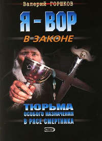 Горшков Валерий - В рясе смертника скачать бесплатно