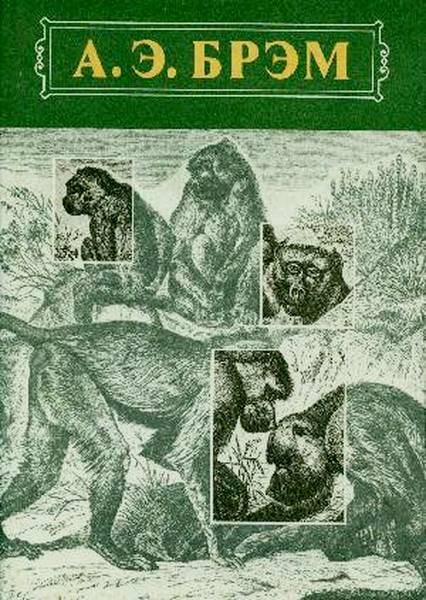 Брэм Альфред - Жизнь животных Том I Млекопитающие скачать бесплатно