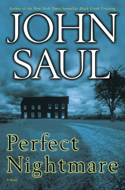 Saul John - Perfect Nightmare скачать бесплатно