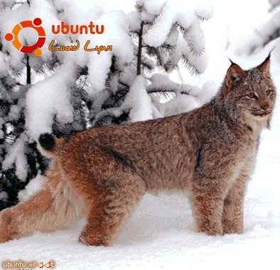 Неворотин Вадим - Руководство по переходу на Ubuntu 10.04 LTS «Lucid Lynx» скачать бесплатно