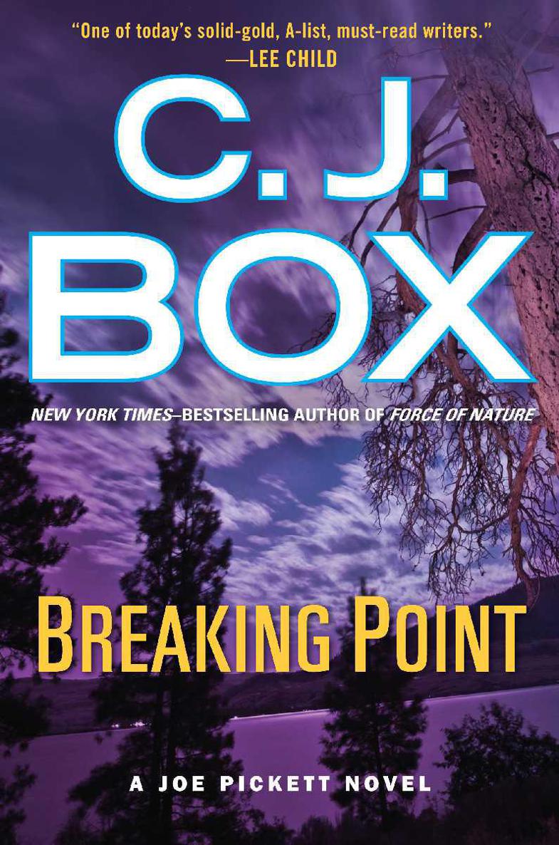 Box C - Breaking Point скачать бесплатно