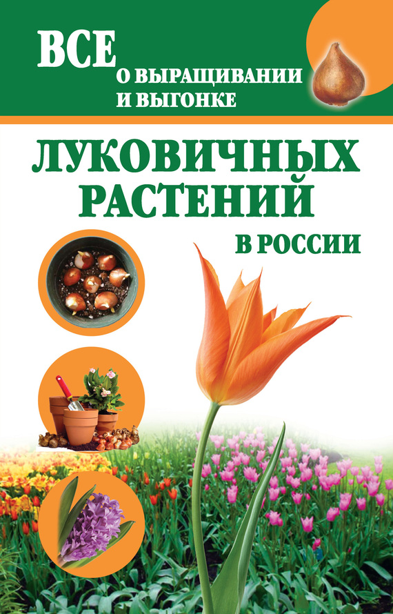 Литвинова Татьяна - Все о выращивании и выгонке луковичных растений в России скачать бесплатно