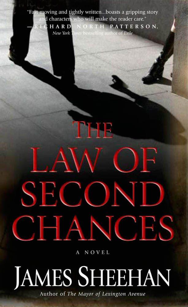 Sheehan James - The Law of Second Chances скачать бесплатно