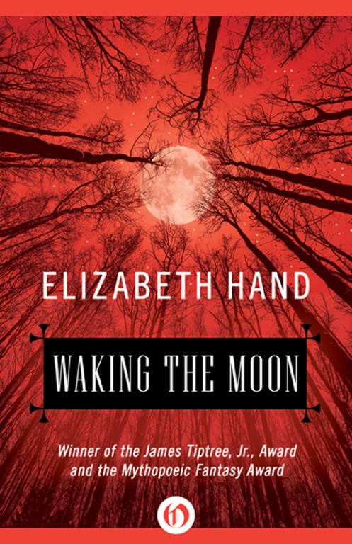 Hand Elizabeth - Waking the Moon скачать бесплатно