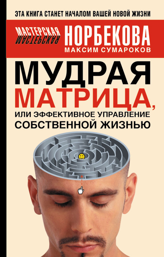 Сумароков Максим - Мудрая матрица, или Эффективное управление собственной жизнью скачать бесплатно