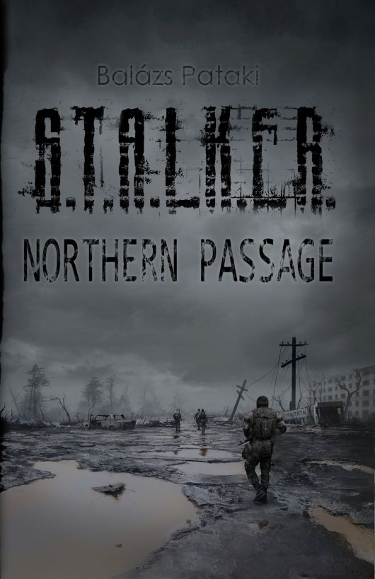 Pataki Balázs - S.T.A.L.K.E.R.: Northern Passage скачать бесплатно