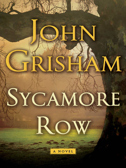Grisham John - Sycamore Row скачать бесплатно