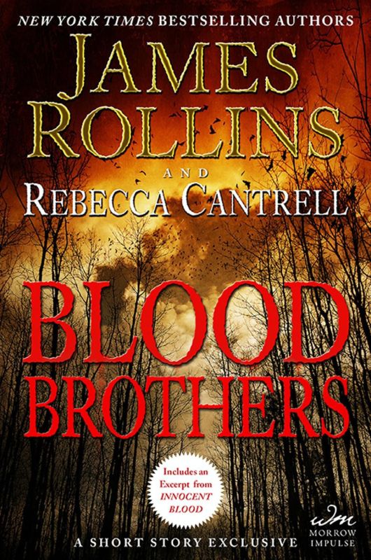 Rollins James - Blood Brothers скачать бесплатно