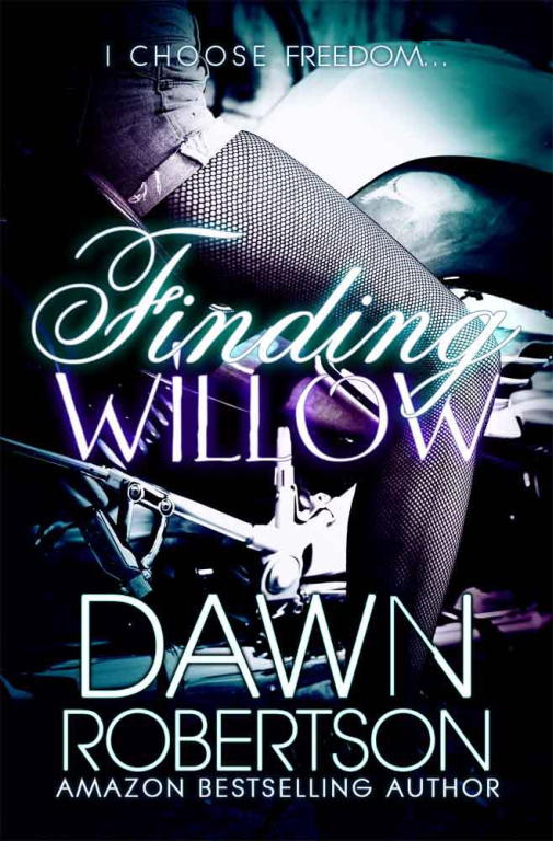 Robertson Dawn - Finding Willow скачать бесплатно