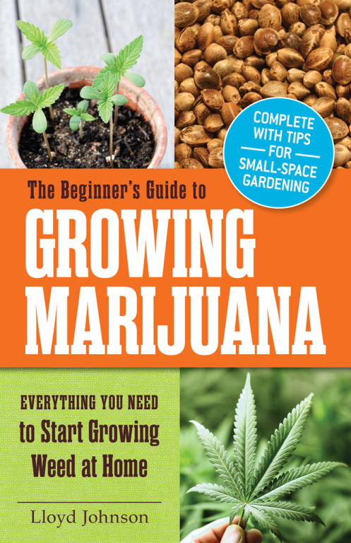 Johnson Lloyd - The Beginners Guide to Growing Marijuana скачать бесплатно