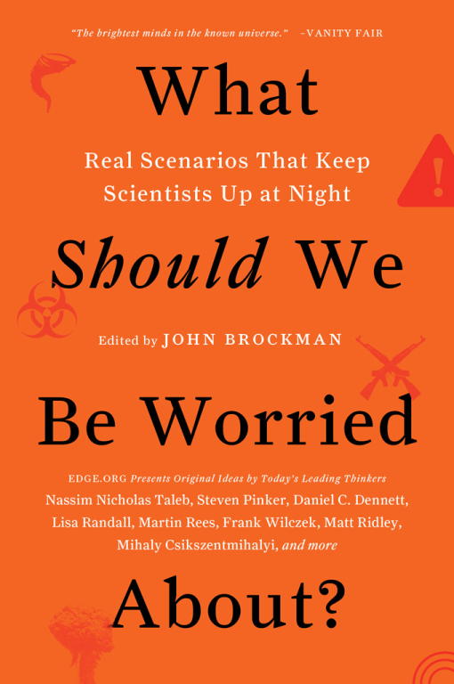 Brockman John - What Should We Be Worried About? скачать бесплатно