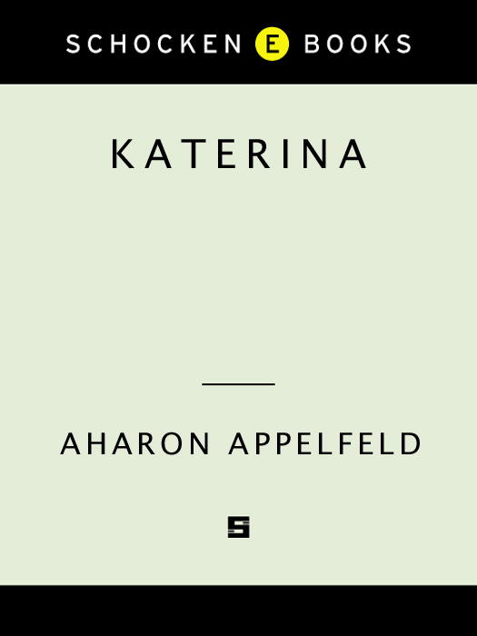 Appelfeld Aharon - Katerina скачать бесплатно