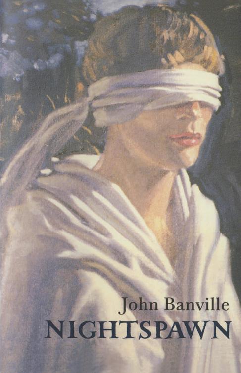 Banville John - Nightspawn скачать бесплатно