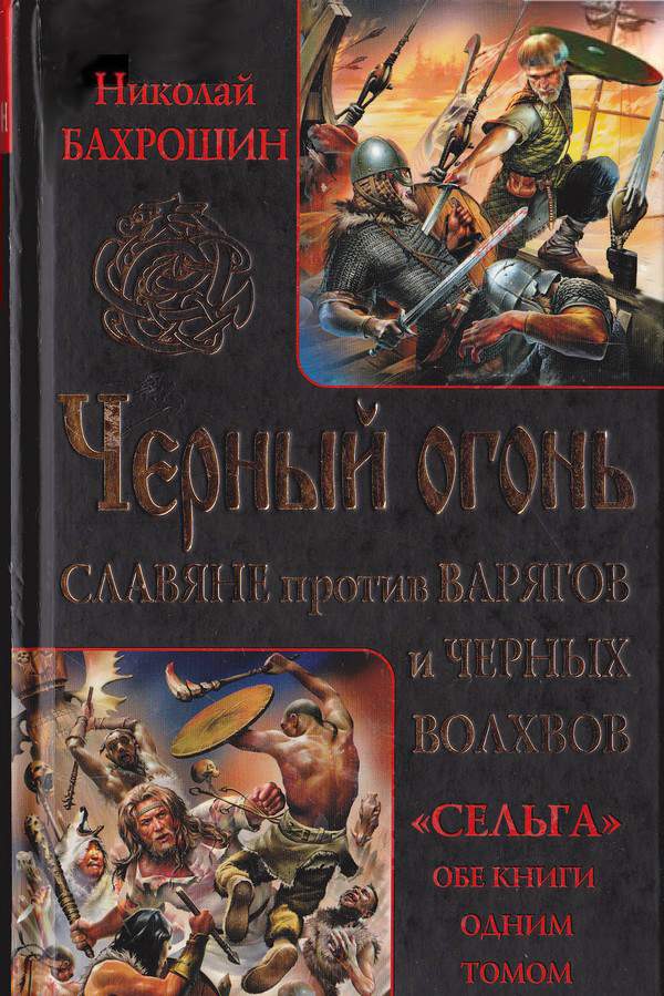 Бахрошин Николай - Черный огонь. Славяне против варягов и черных волхвов скачать бесплатно