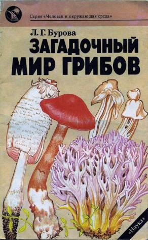 Бурова Лидия - Загадочный мир грибов скачать бесплатно