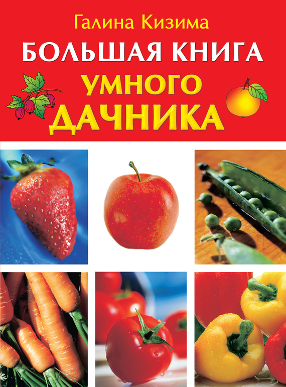 Кизима Галина - Большая книга умного дачника скачать бесплатно