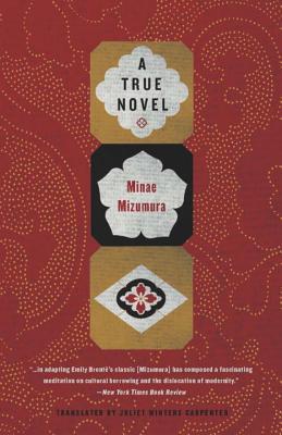 Mizumura Minae - A True Novel скачать бесплатно