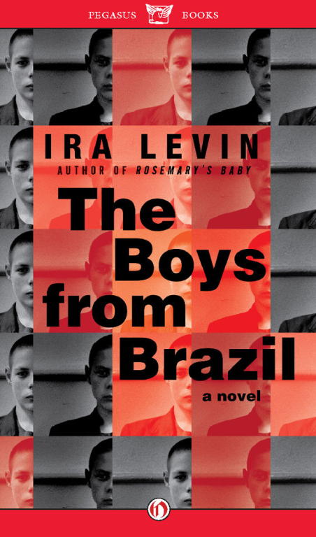 Levin Ira - Boys from Brazil скачать бесплатно