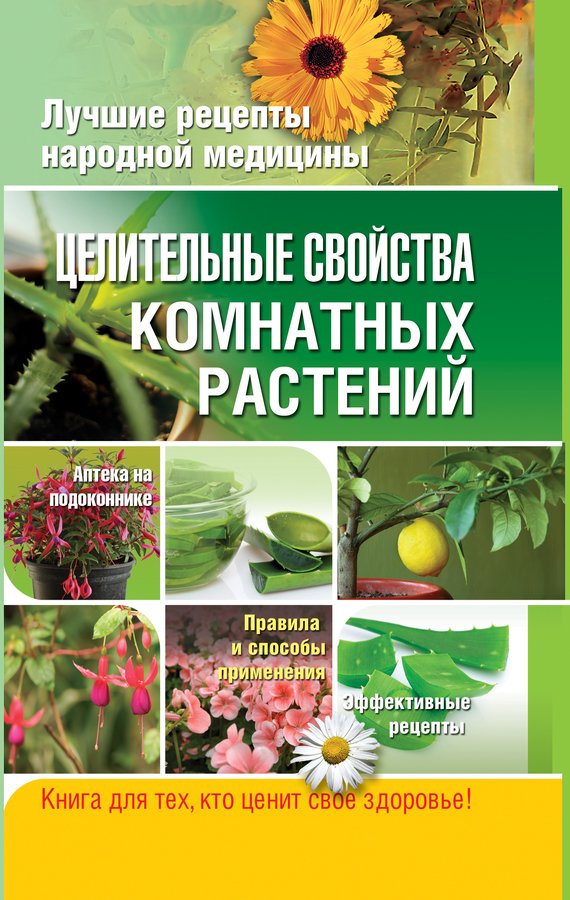Власенко Елена - Целительные свойства комнатных растений скачать бесплатно