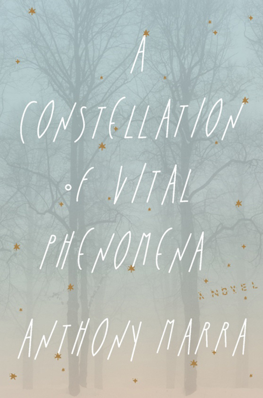 Marra Anthony - A Constellation of Vital Phenomena скачать бесплатно