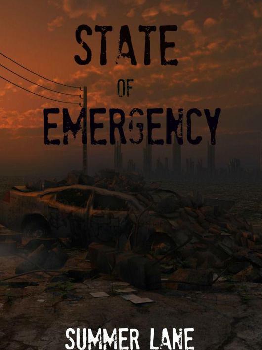 Lane Summer - State of Emergency скачать бесплатно