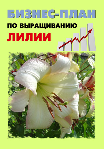 Шешко Павел - Бизнес-план по выращиванию лилии скачать бесплатно