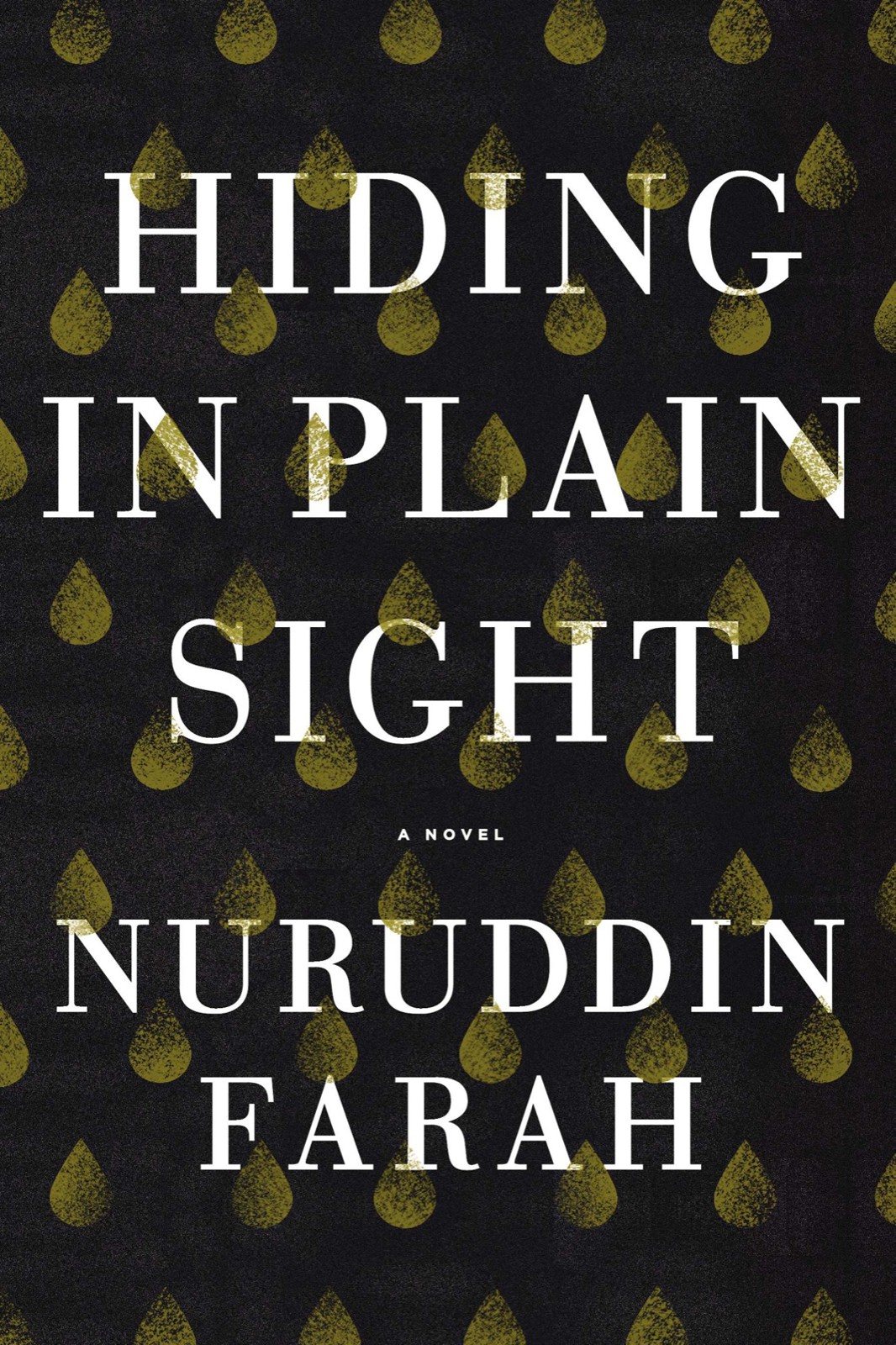 Farah Nuruddin - Hiding in Plain Sight скачать бесплатно