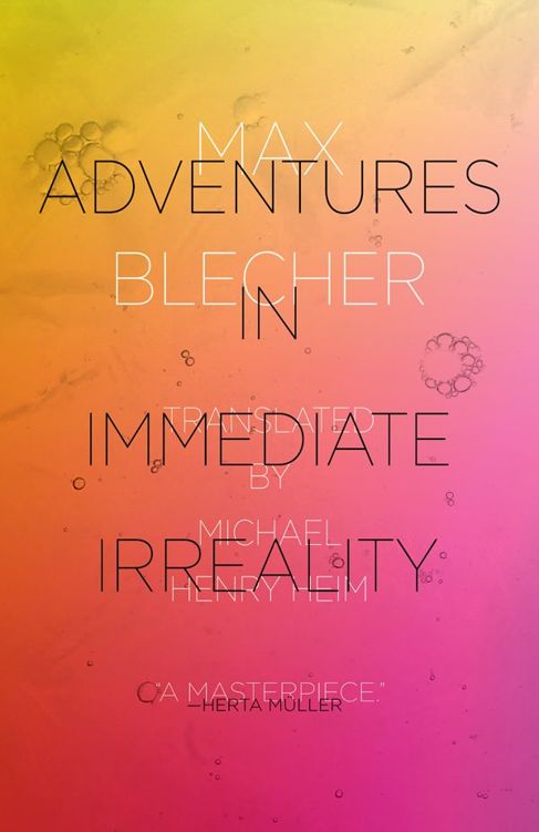 Blecher Max - Adventures In Immediate Irreality скачать бесплатно