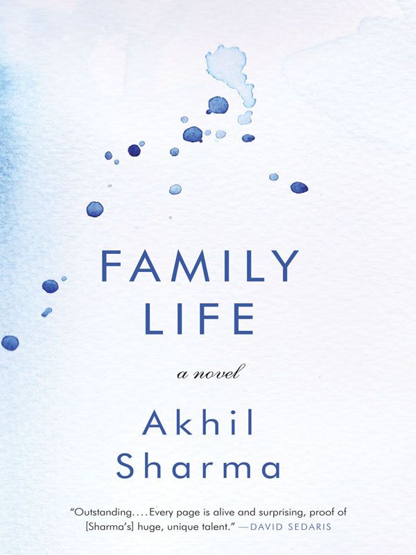 Akhil Sharma - Family Life скачать бесплатно