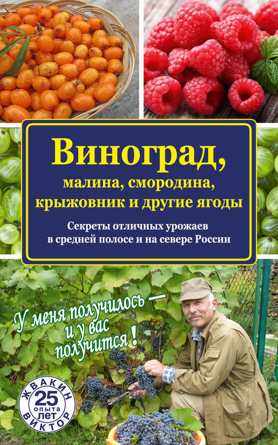 Жвакин Виктор - Виноград, малина, смородина, крыжовник и другие ягоды скачать бесплатно