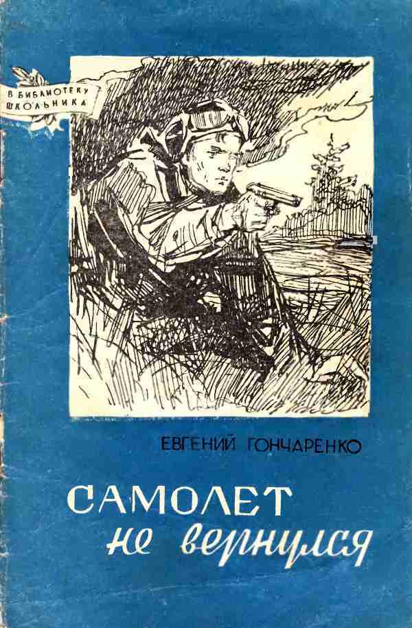 Гончаренко Евгений - Самолет не вернулся скачать бесплатно