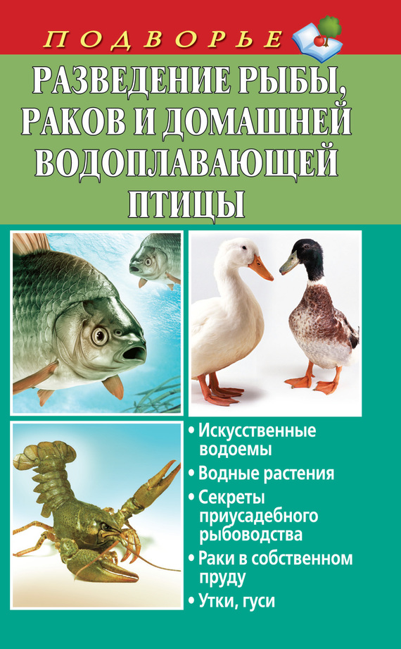 Задорожная Людмила - Разведение рыбы, раков и домашней водоплавающей птицы скачать бесплатно