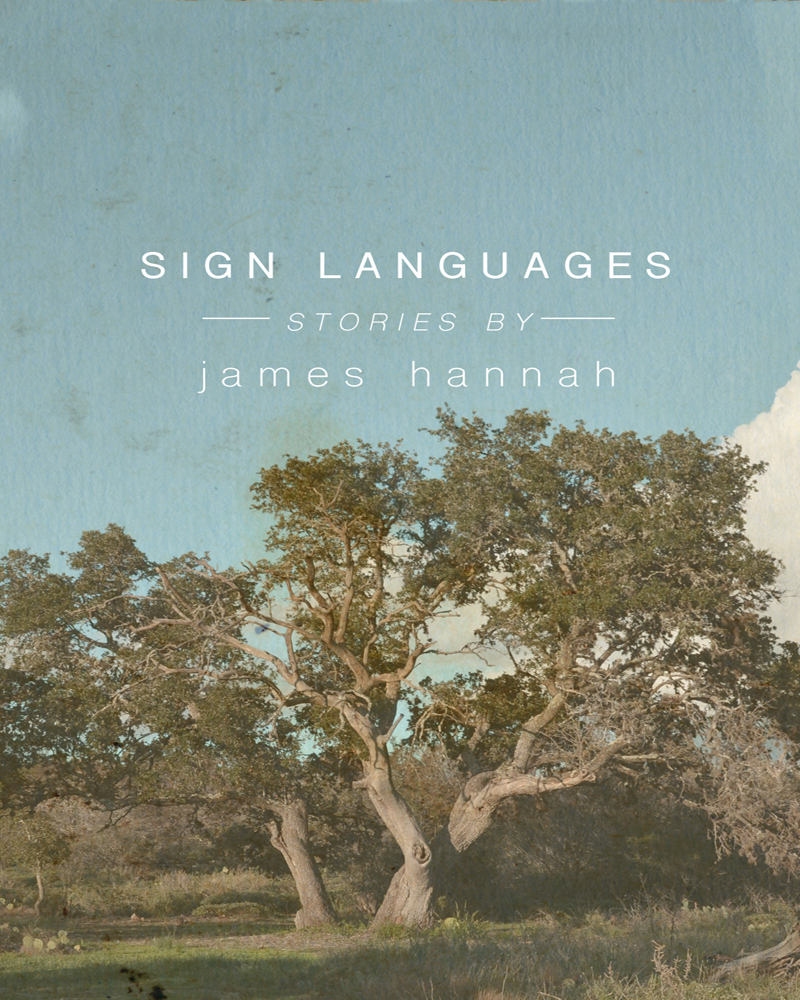 Hannah James - Sign Languages, скачать бесплатно книгу в формате fb2