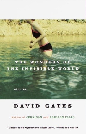 Gates David - The Wonders of the Invisible World скачать бесплатно