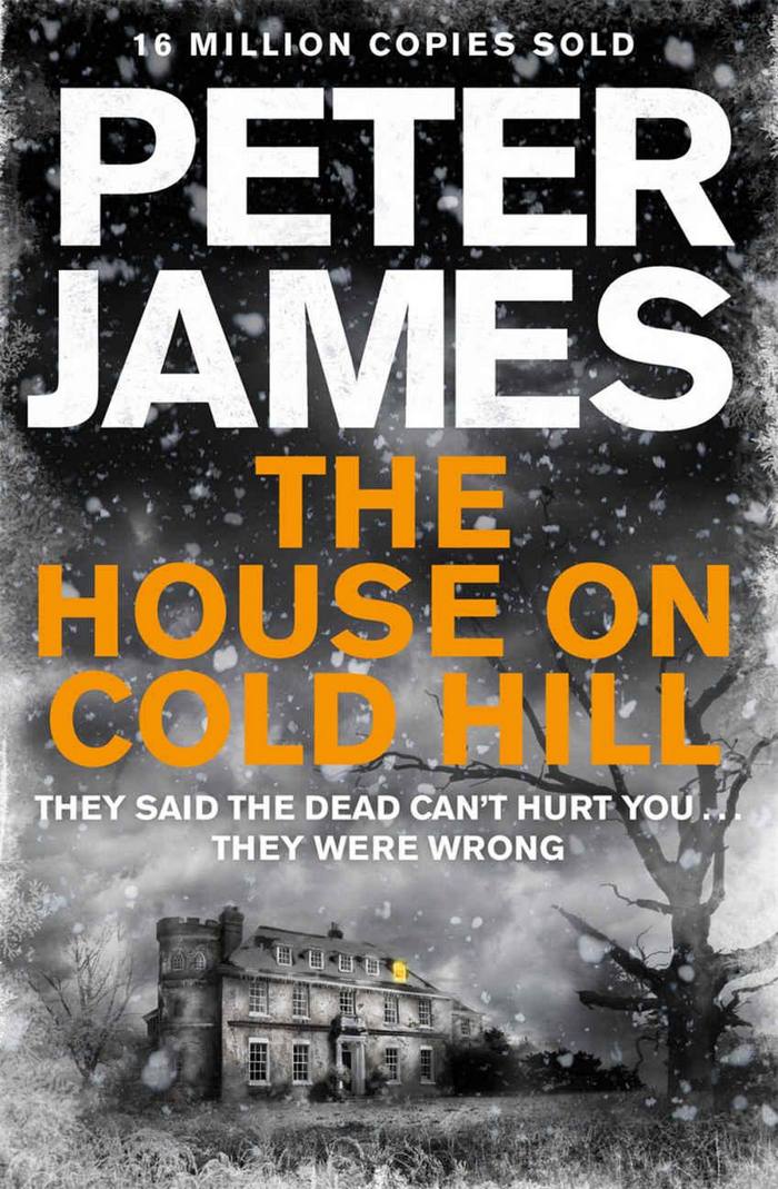 James Peter - The House on Cold Hill скачать бесплатно