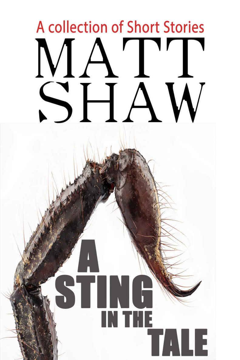Shaw Matt - A Sting in the Tale: A Collection of Short Stories скачать бесплатно