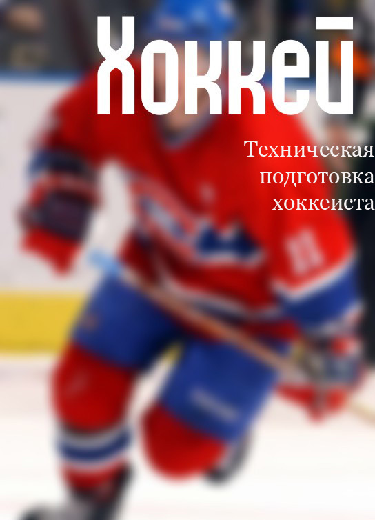 Мельников Илья - Техническая подготовка хоккеиста скачать бесплатно