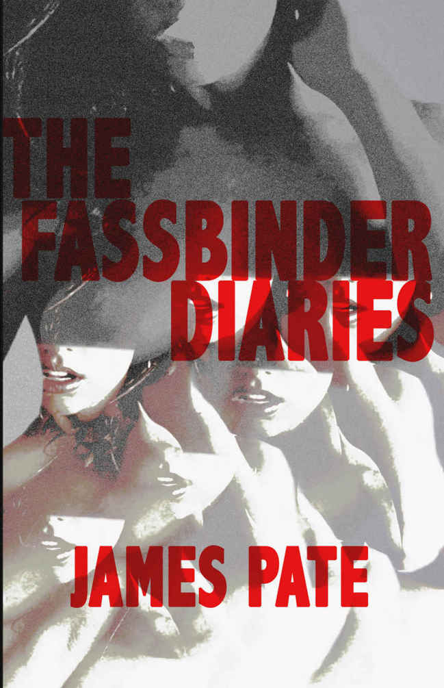 Pate James - The Fassbinder Diaries скачать бесплатно