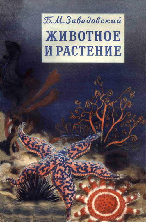 Завадовский Борис - Животное и растение. Маленькое введение в науку о жизни скачать бесплатно