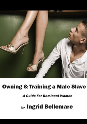 Bellemare Ingrid - Owning and Training a Male Slave скачать бесплатно