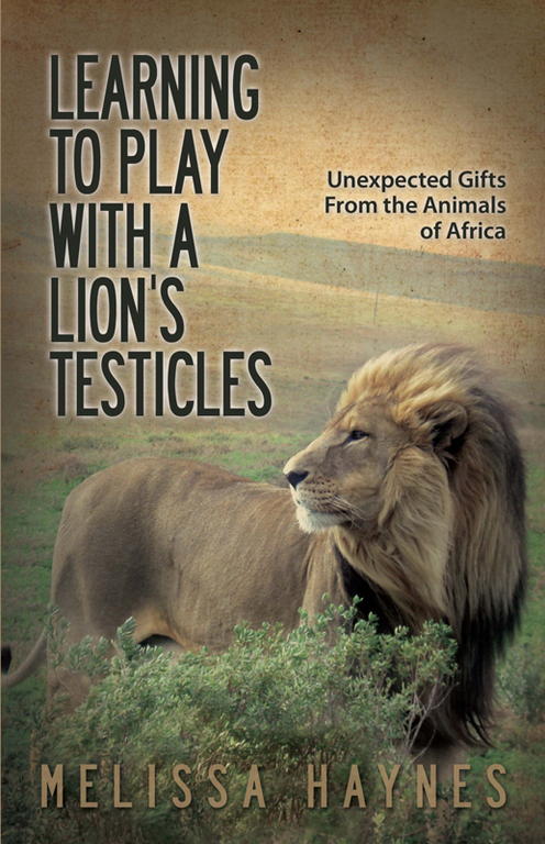 Haynes Melissa - Learning to Play with a Lions Testicles скачать бесплатно