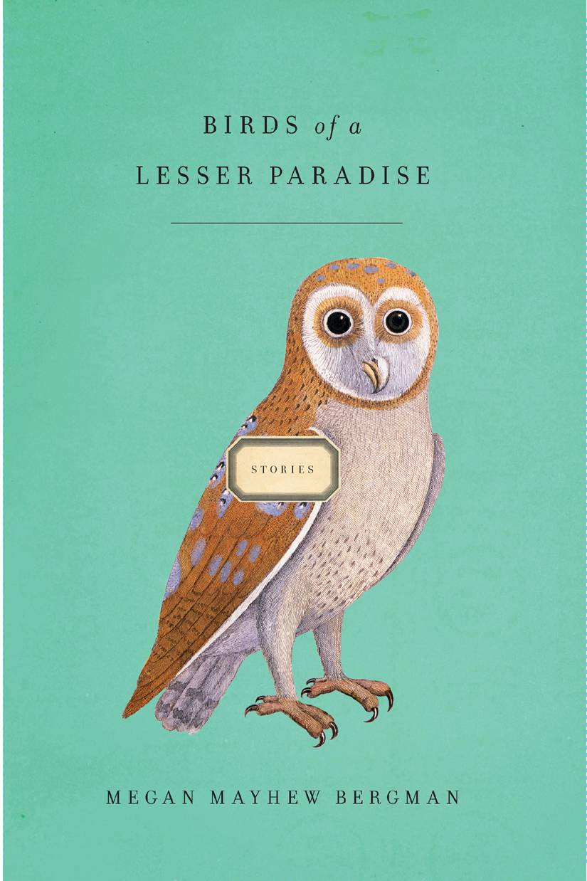 Bergman Megan - Birds of a Lesser Paradise: Stories скачать бесплатно
