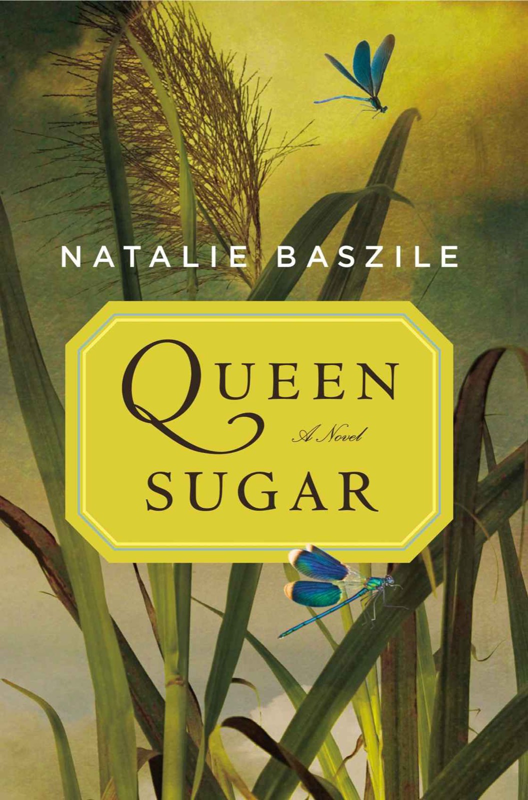 Baszile Natalie - Queen Sugar скачать бесплатно