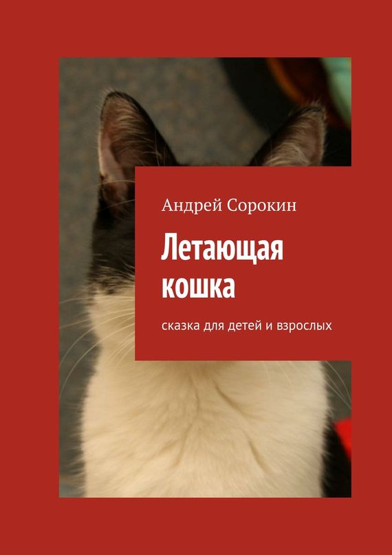 Сорокин Андрей - Летающая кошка. Сказка для детей и взрослых скачать бесплатно