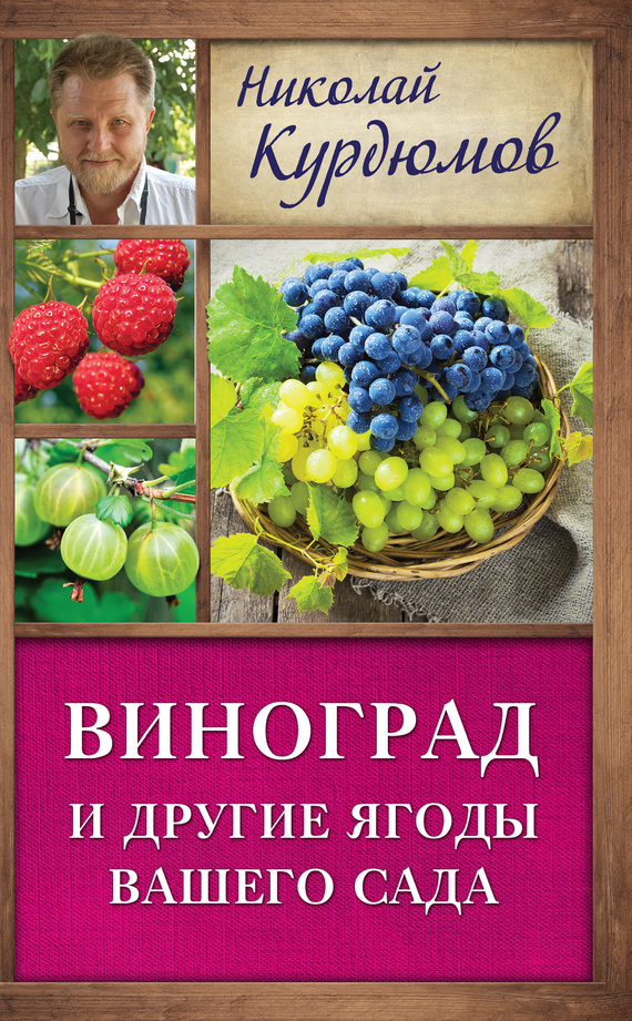 Курдюмов Николай - Виноград и другие ягоды вашего сада скачать бесплатно