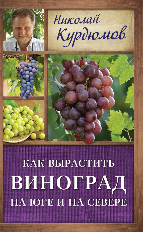 Курдюмов Николай - Как вырастить виноград на Юге и на Севере скачать бесплатно