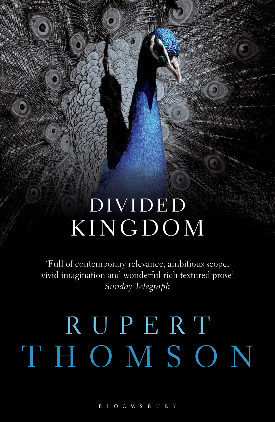 Thomson Rupert - Divided Kingdom скачать бесплатно