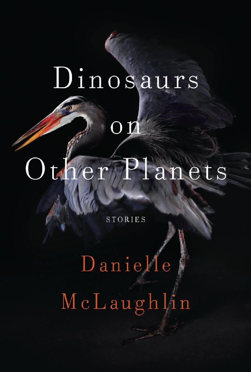 McLaughlin Danielle - Dinosaurs on Other Planets скачать бесплатно
